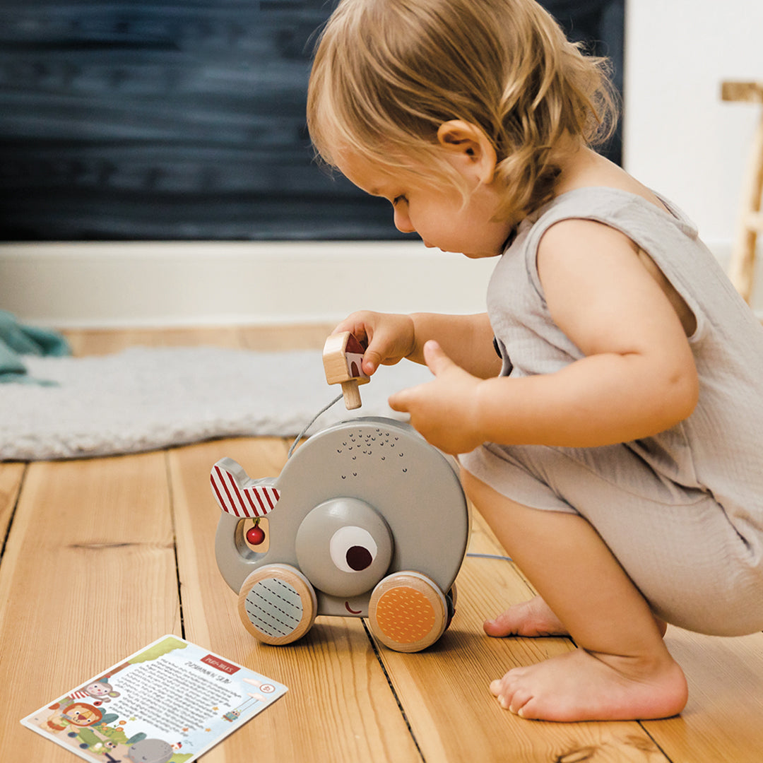 Nachziehspiel "Wal Wilma"